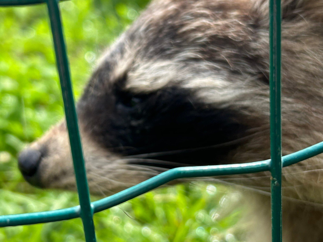 Fauna Park景点图片