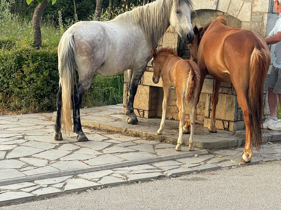 Casa Gace Hotel主图