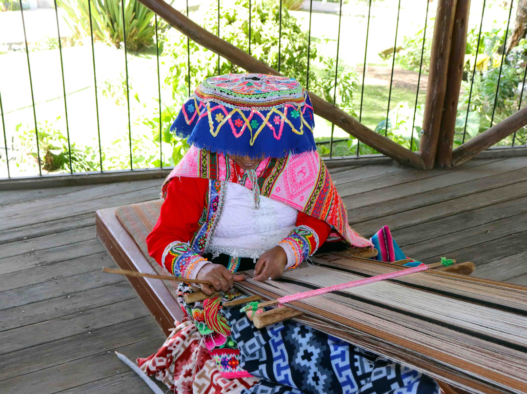 Mundo Alpaca Arequipa