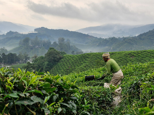 Lets Go Discovery (LGDTT)-丹那拉塔必去景点