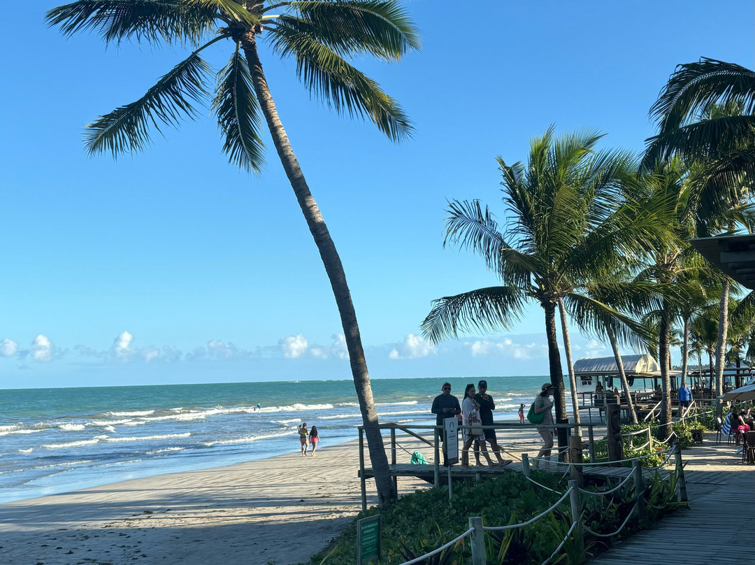 Maceió Destinos Receptivo-Maceio必去景点
