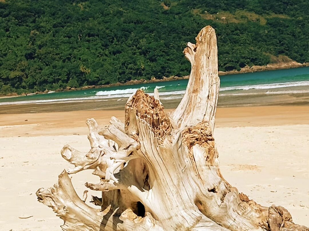 Playa Lopes Mendez景点图片