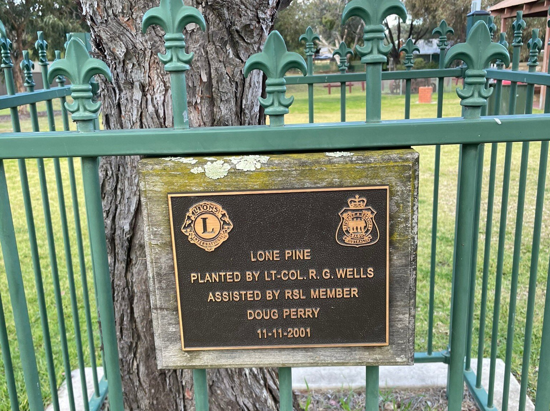 Rushworth Lions Club Federation Park-拉什沃思必去景点