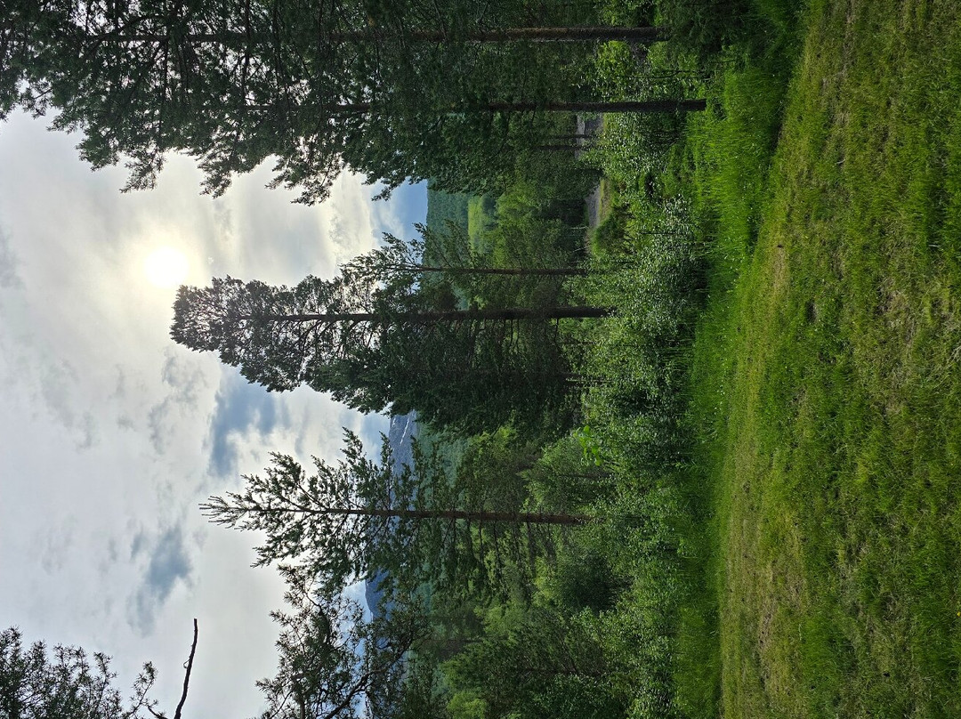 Elvmothei Fjellgard