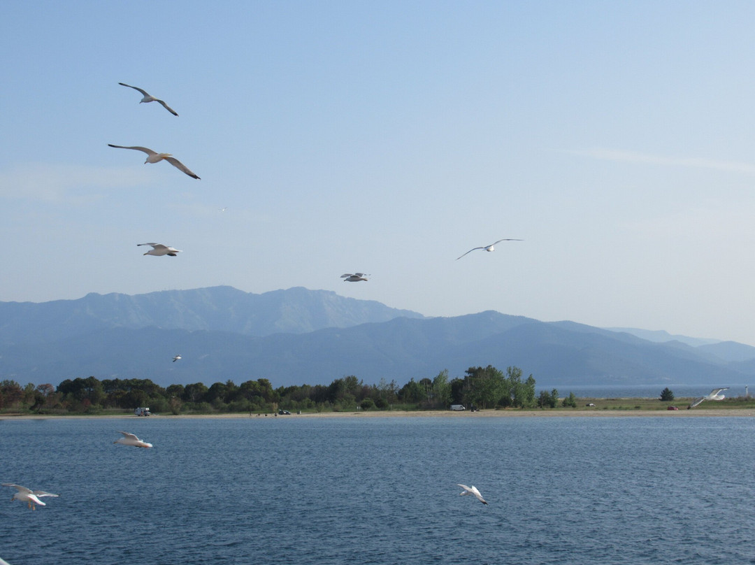 Thassos Ferries-Thassos Town (Limenas)必去景点