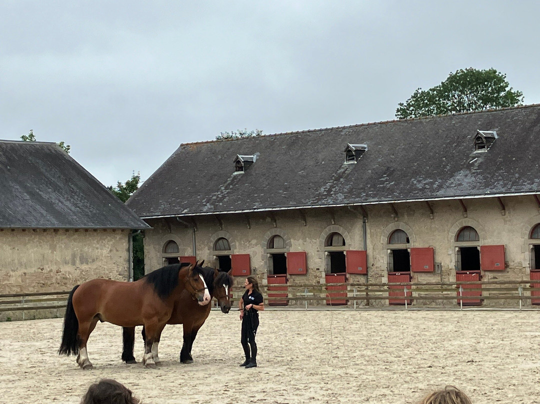 Haras National d'Hennebont景点图片