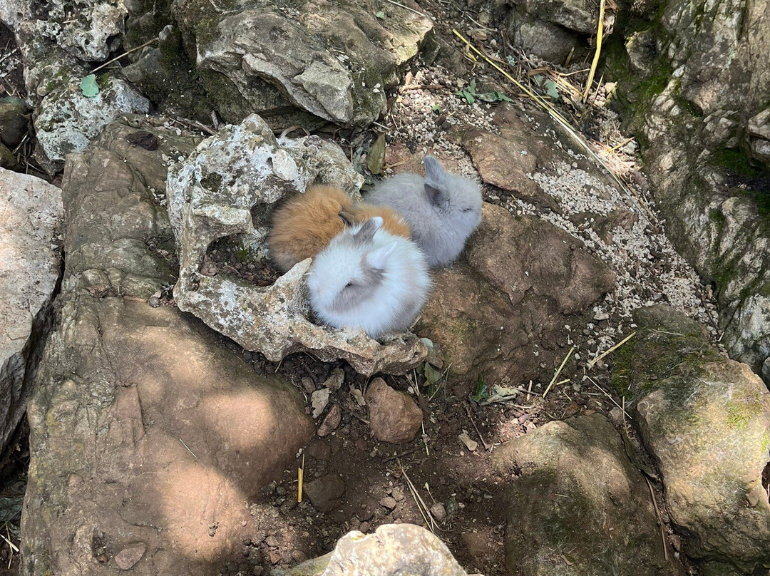 Parc le Theil-Le Caylar必去景点