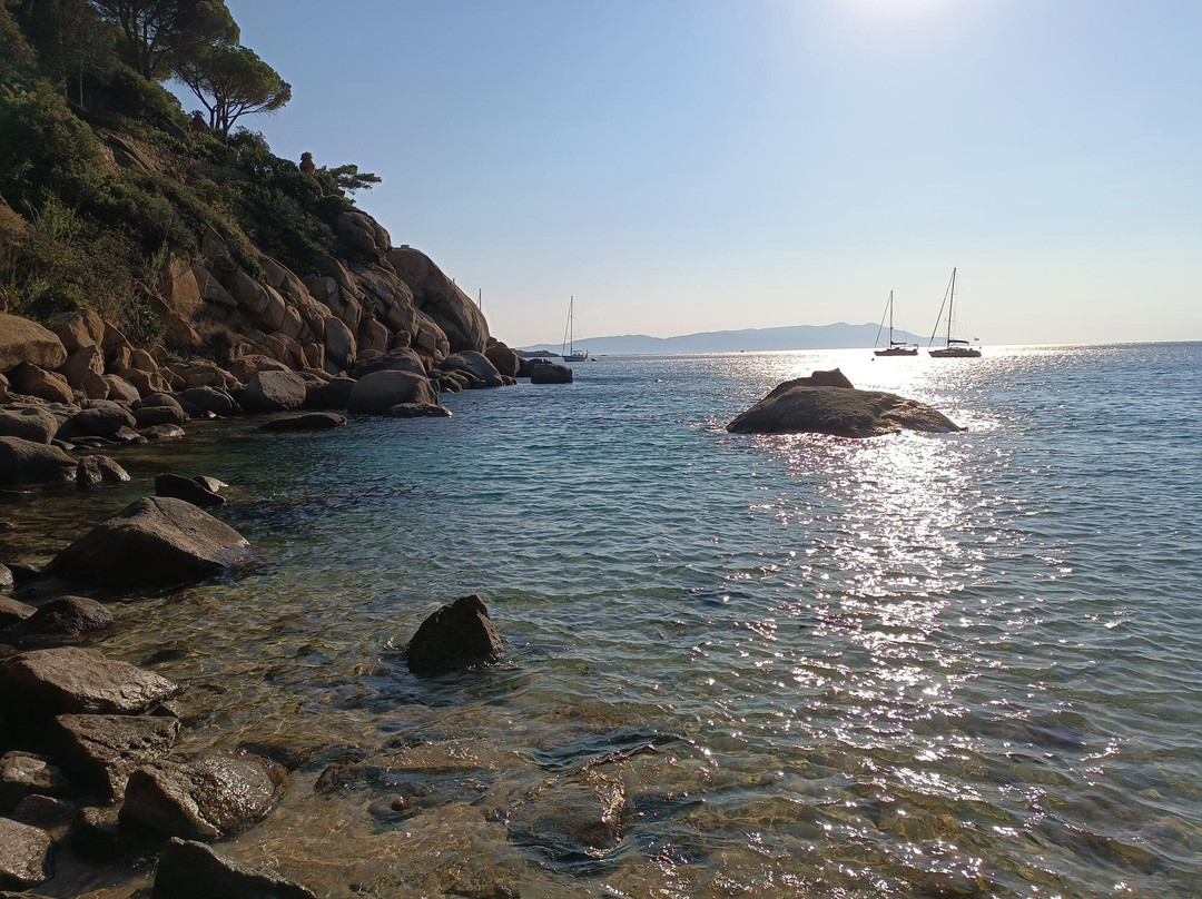 Spiaggia delle Cannelle-Isola del Giglio必去景点