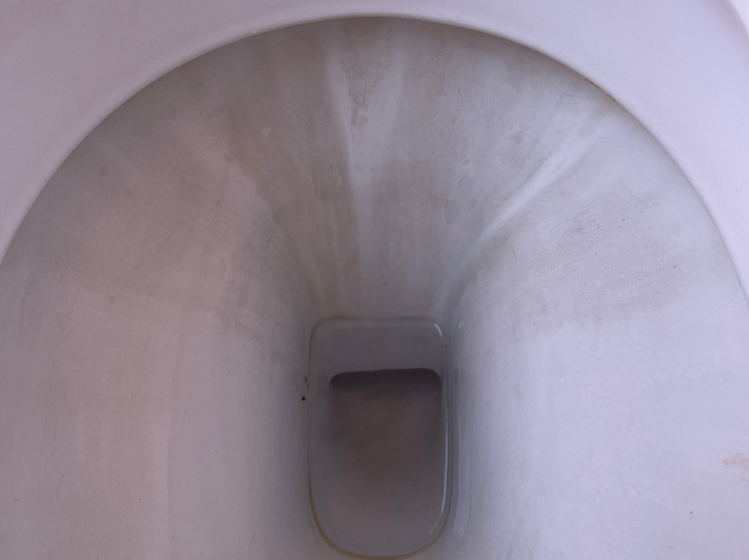 The Lost Camel Hotel主图