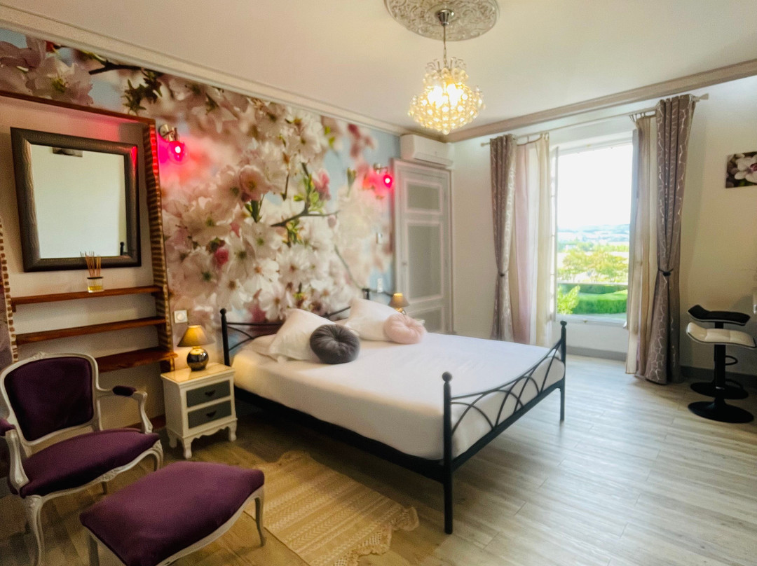 Chateau Lacaze Hotel Restaurant主图