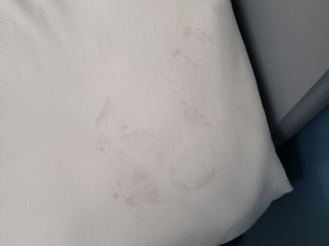 Schmidt's Creek Hotel主图