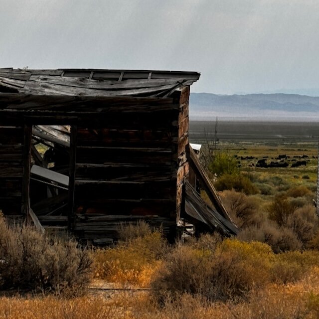 Stargazer Inn & Bristlecone General Store-酒店景观