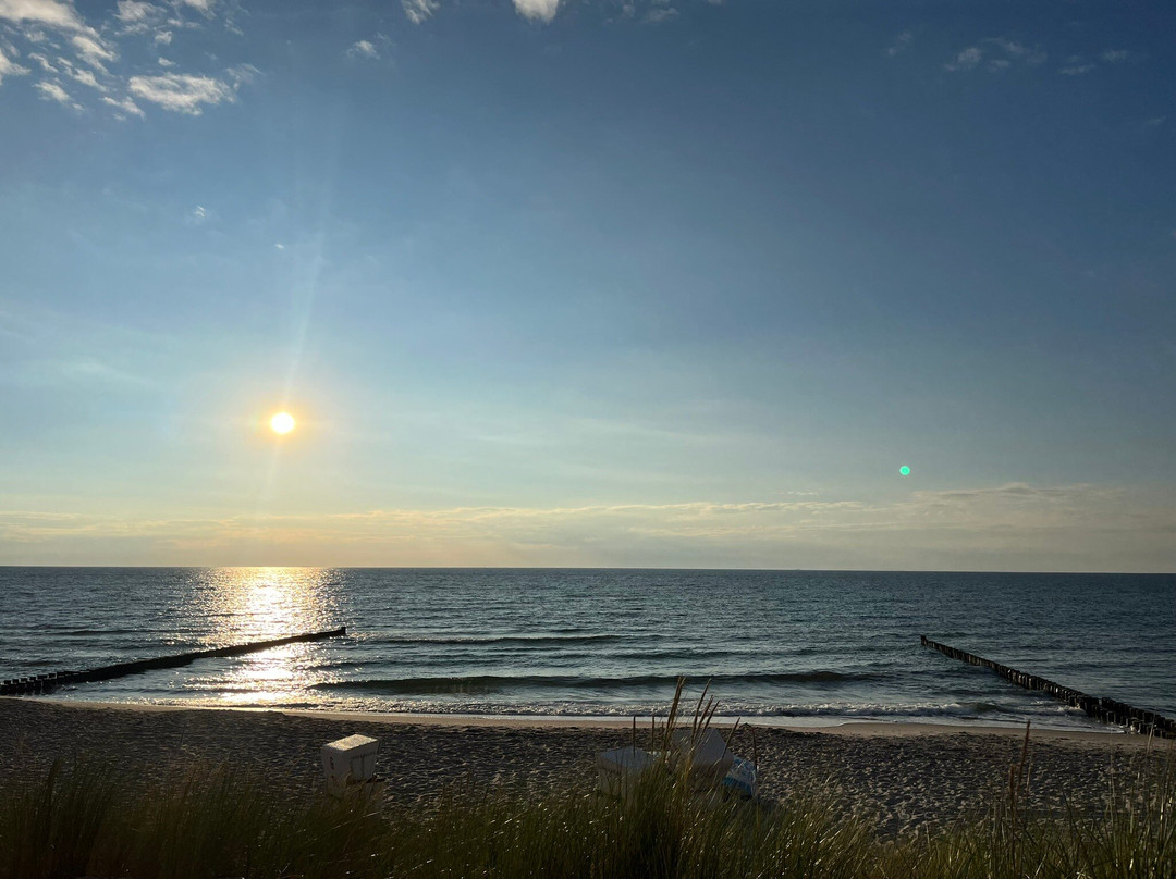 Strandhaus Ahrenshoop主图