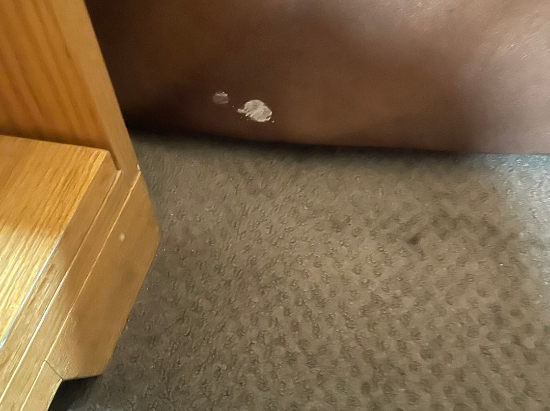 灯升客栈酒店主图