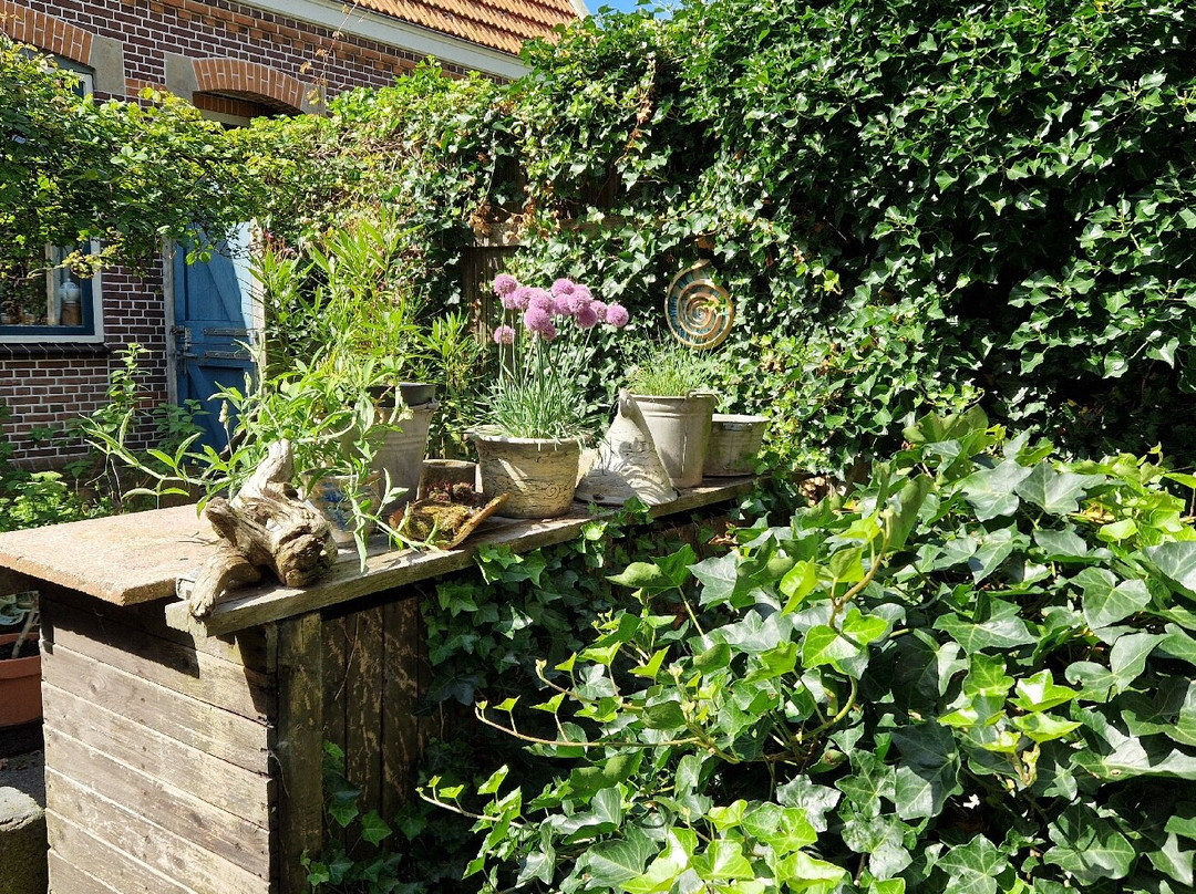 Eiland Galerij-特塞尔必去景点