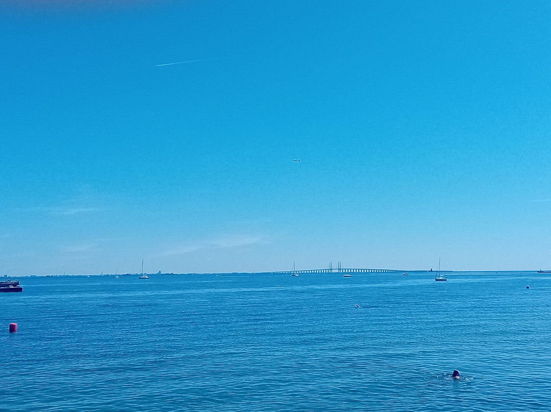 Amager Strandpark景点图片