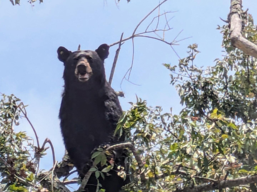 Cades Cove Visitor Center-大雾山国家公园必去景点