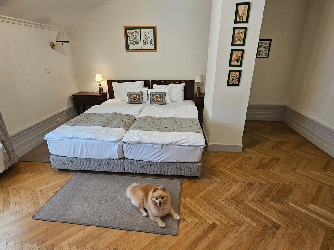 Károlyi - Kastély Hotel & Restaurant主图