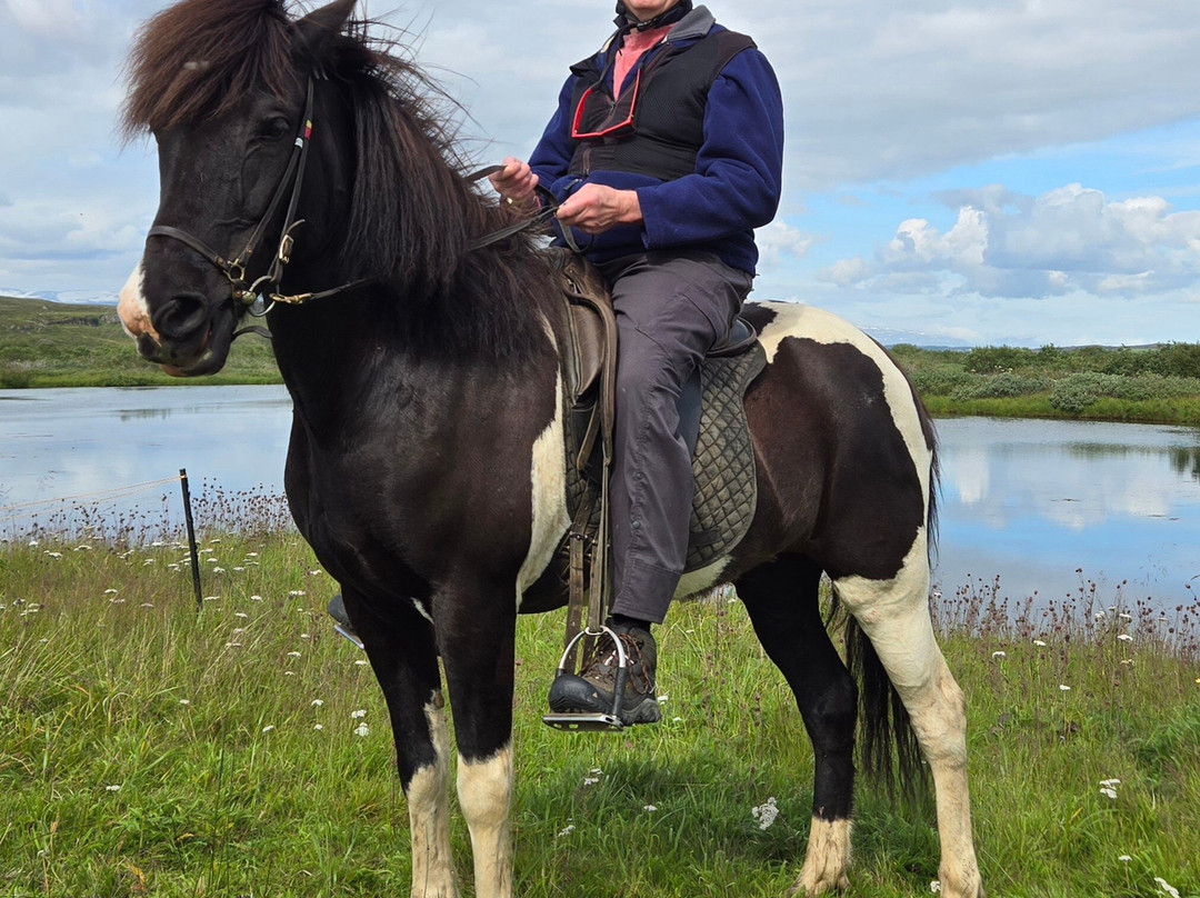 Galdrahestar Riding Tours-埃伊尔斯塔济必去景点