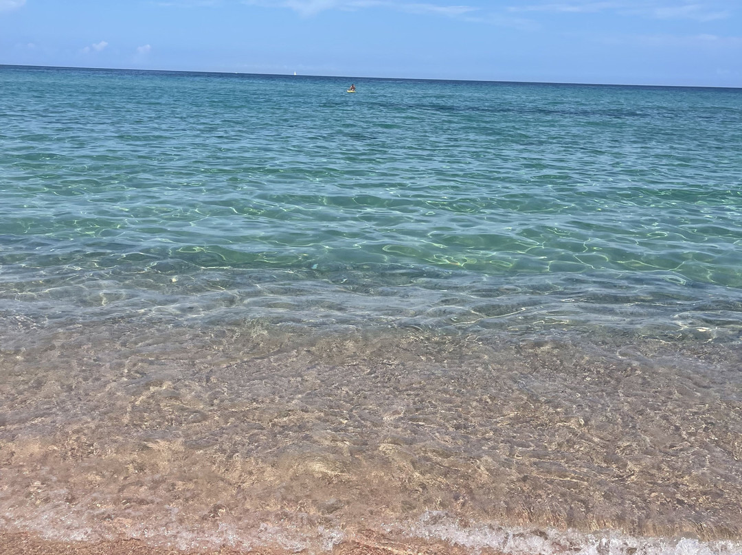 Lido Dog Beach-Aglientu必去景点