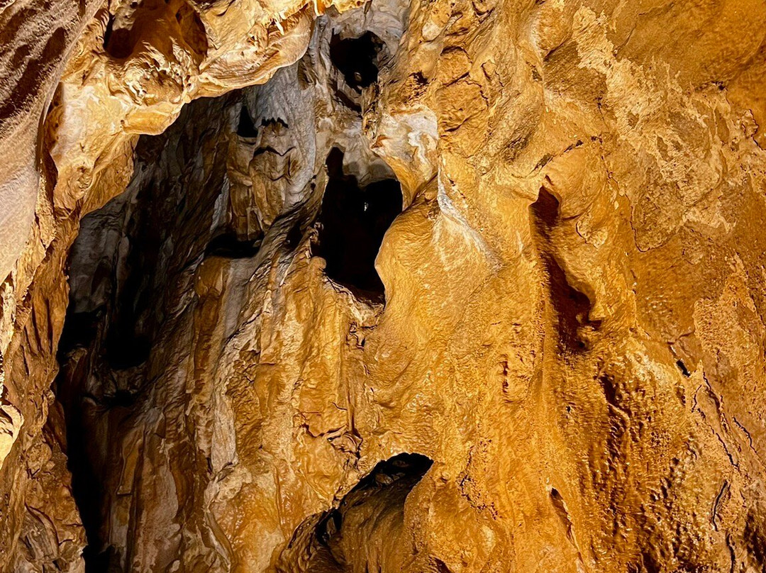 Grotte de Villars景点图片