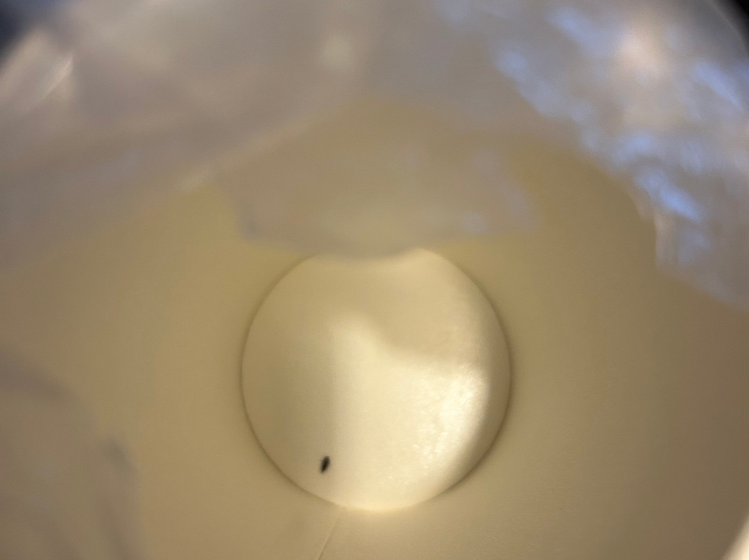 Cambria Hotel Madison East主图