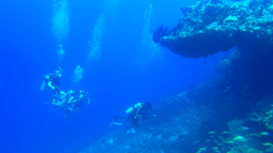 SUB AQUA DiveCenter Angaga景点图片