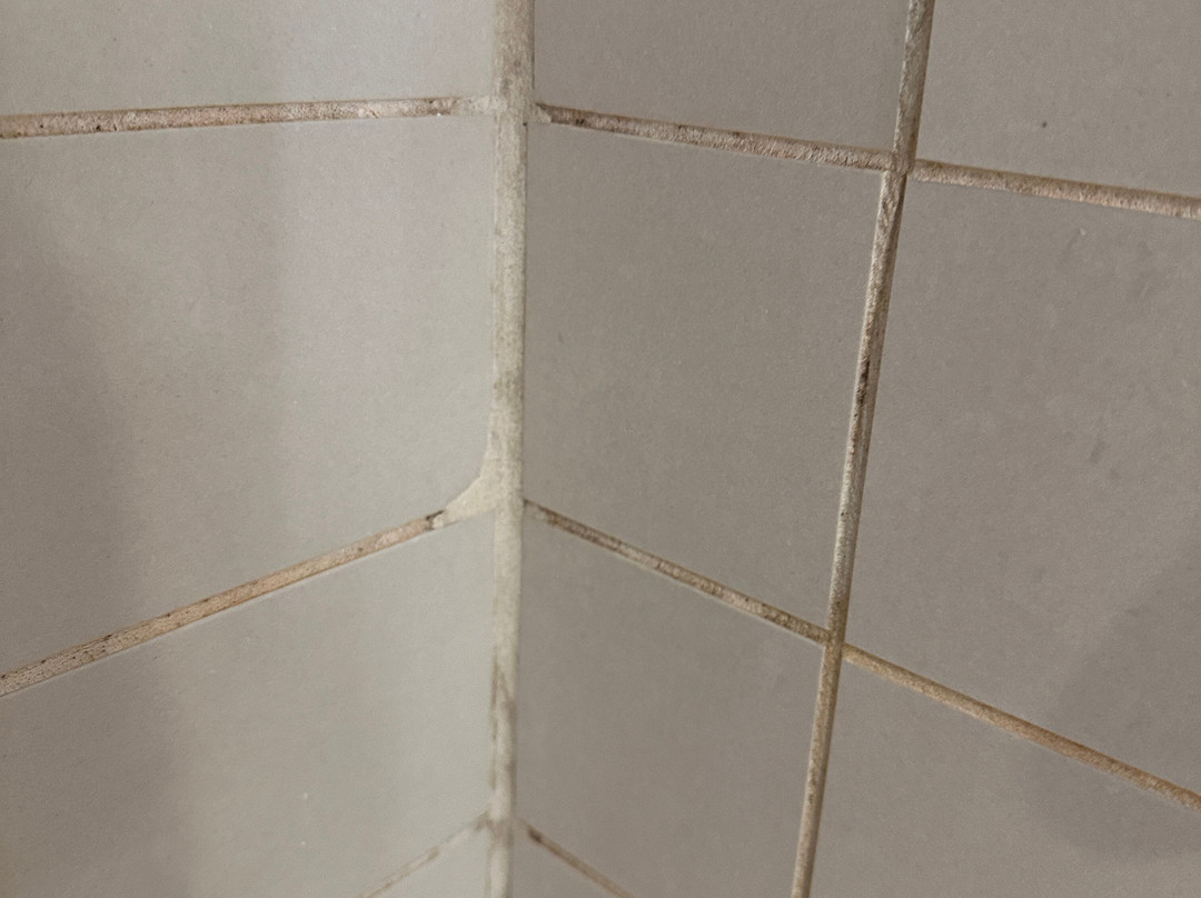 Sheraton Montreal Airport Hotel主图