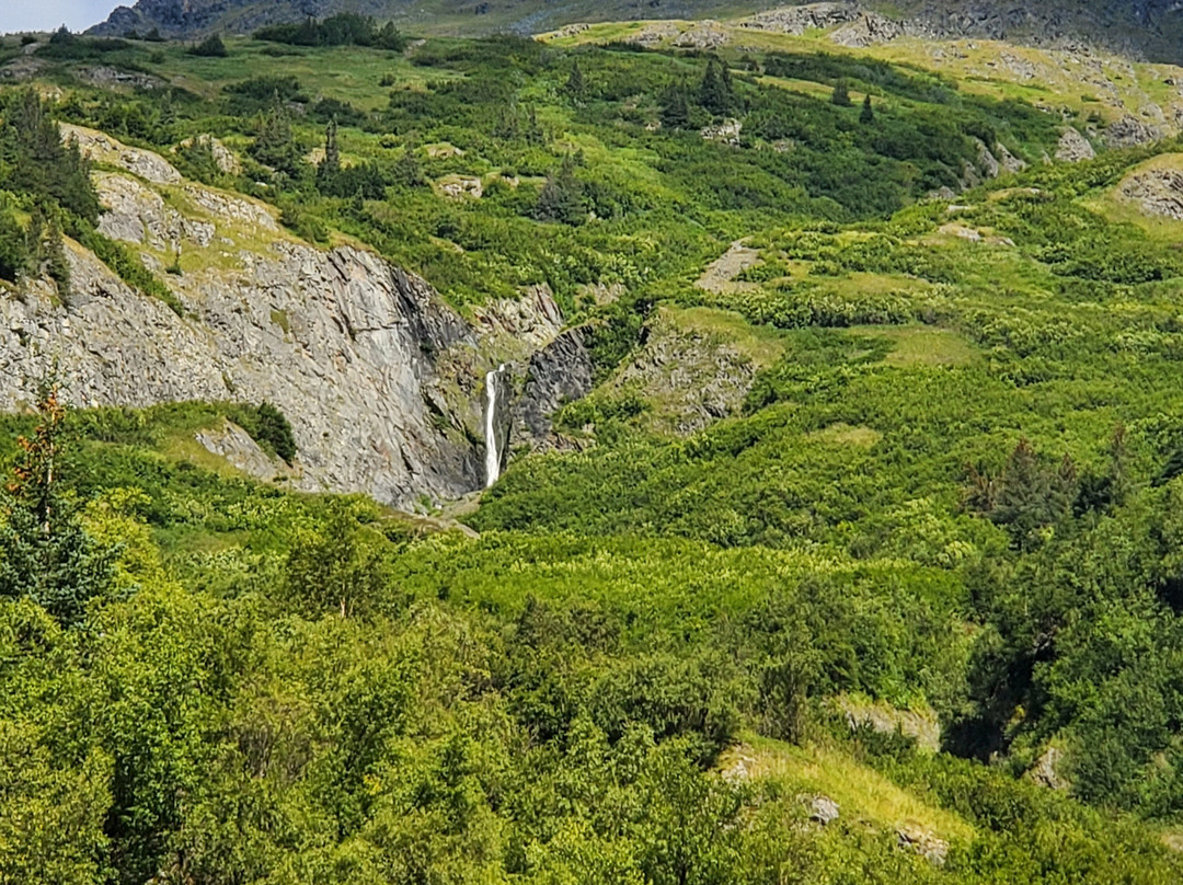 Moose Pass Adventures-穆斯帕斯必去景点