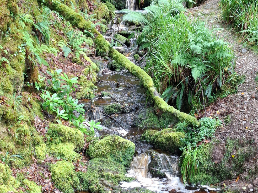 Ballyhoura Mountain Bike Trail景点图片