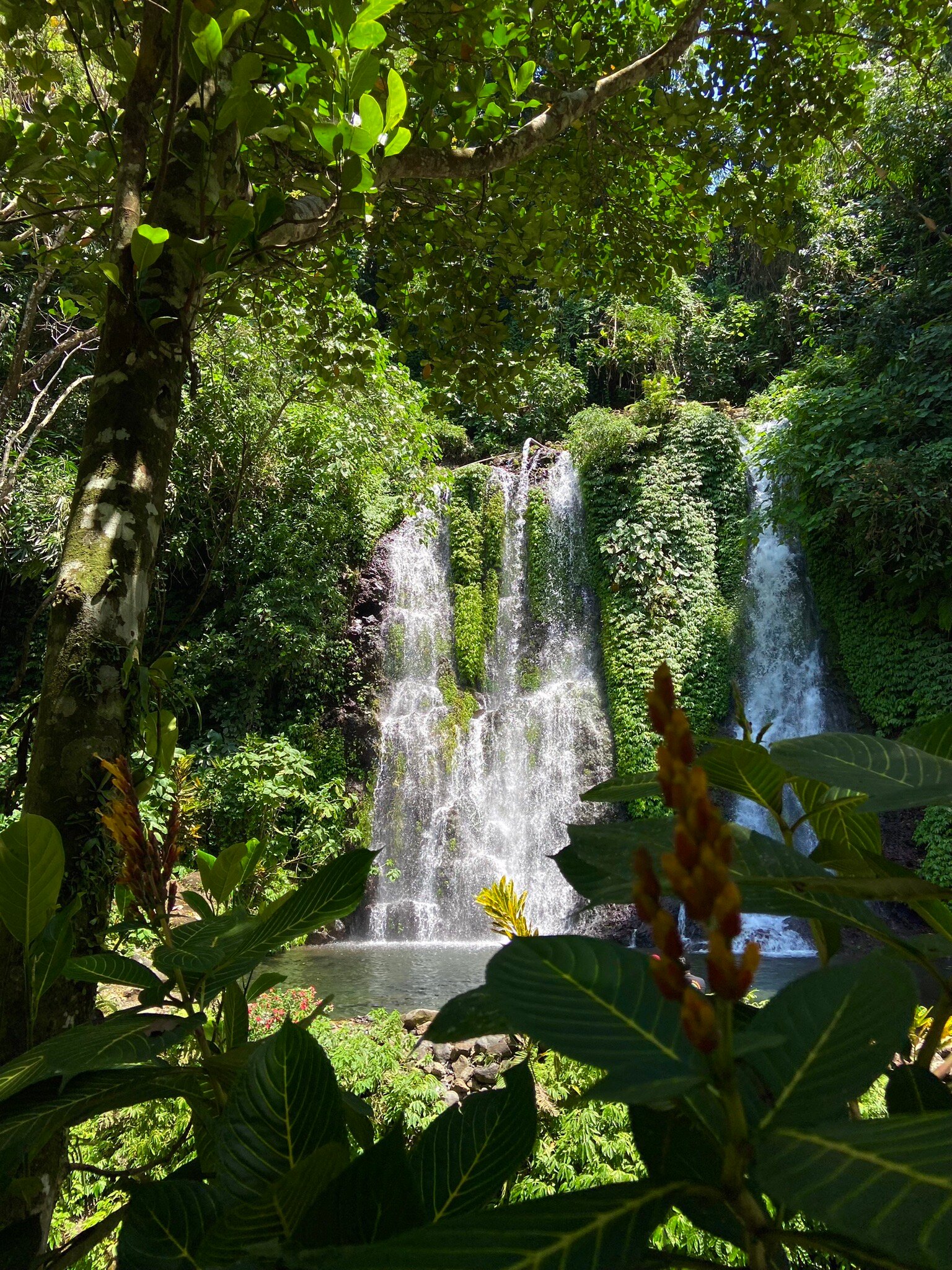 Jagir Waterfall-2024年8月30日上传的实拍图