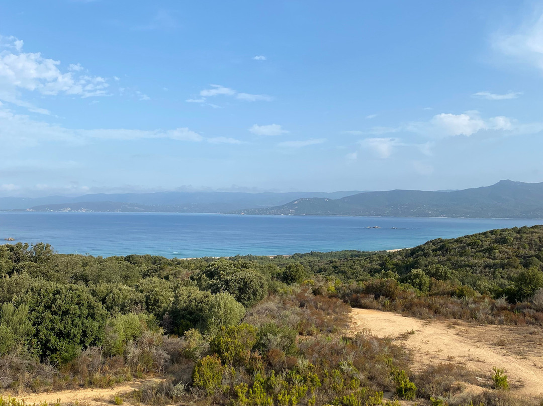 Plage de Portigliolo景点图片