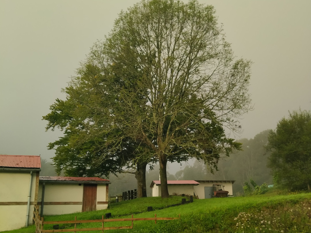 阿提克索拉乡村公寓酒店主图