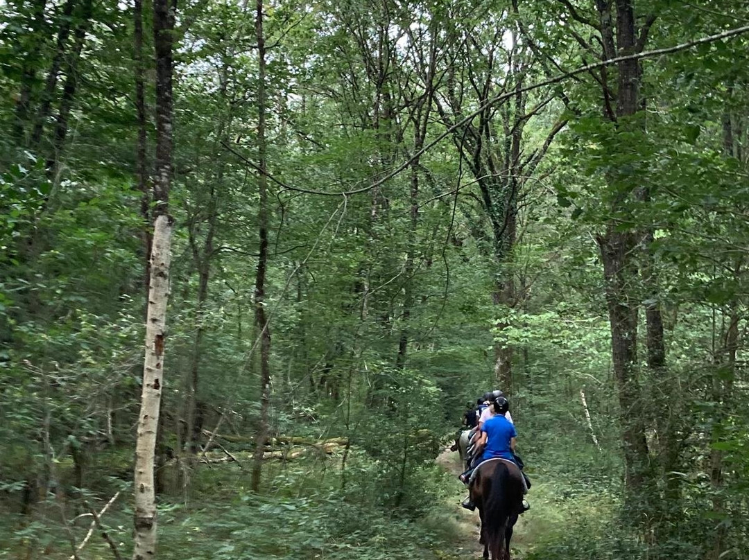 Loire Perspectives-布洛瓦必去景点