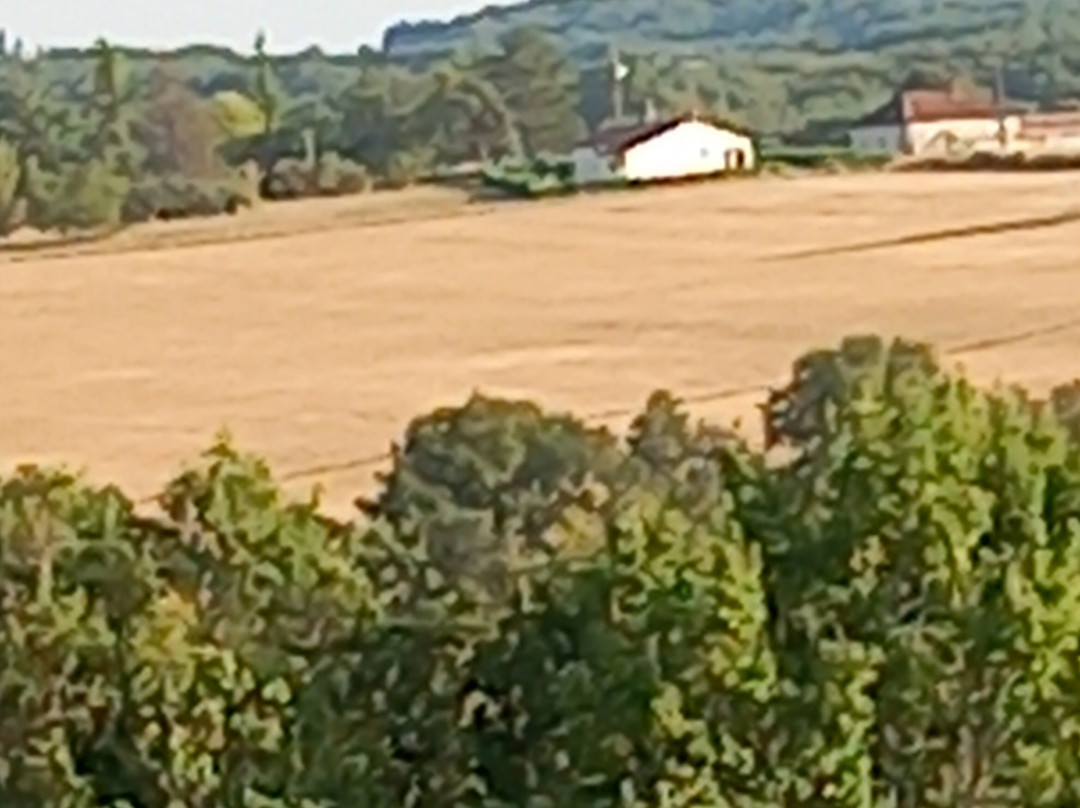 Village des Cigales主图