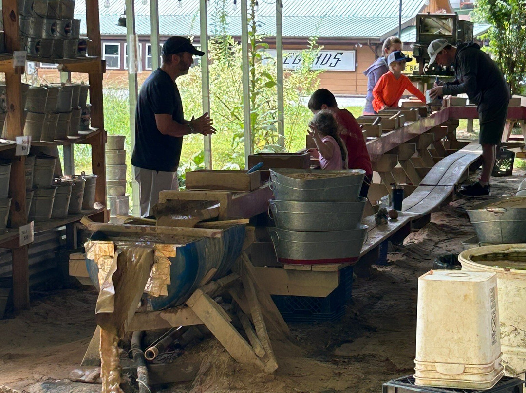 Maggie Valley Rock Shop景点图片