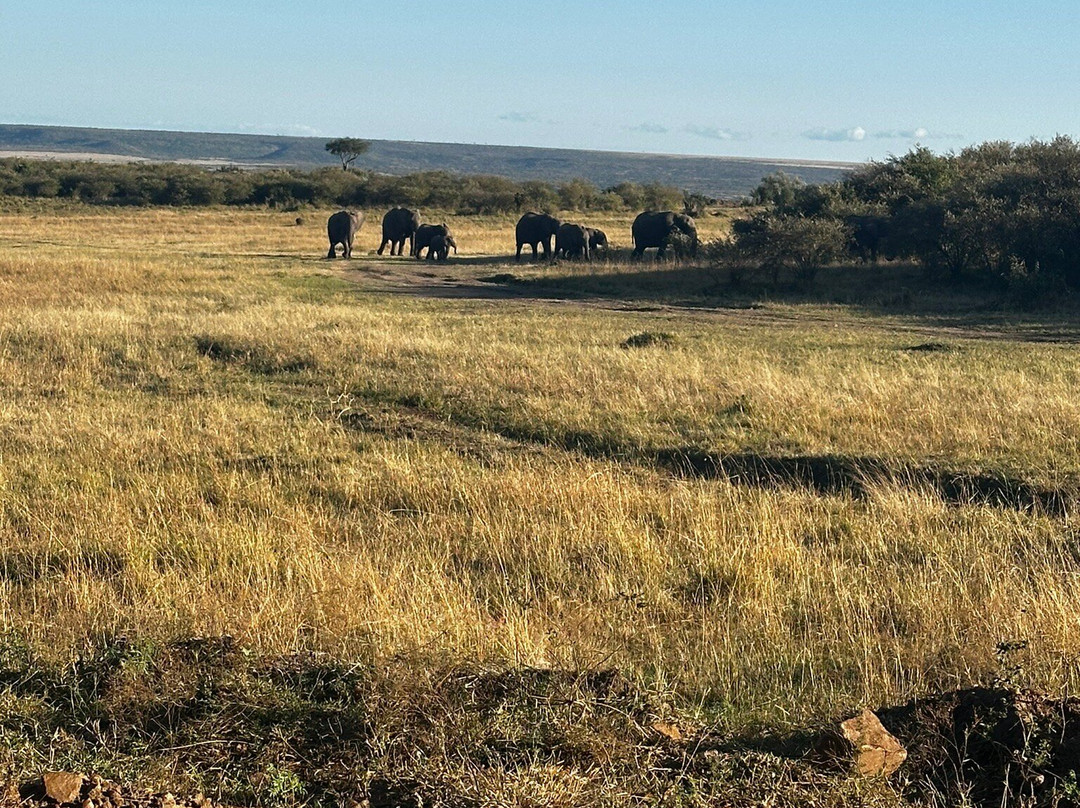 Sense of Africa, Namibia-温德和克必去景点