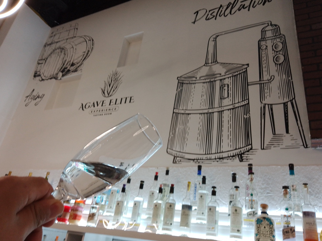 Agave Elite Experience景点图片