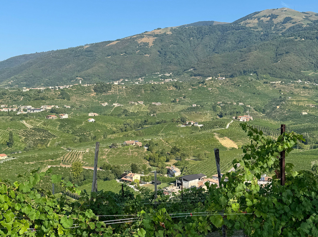Col del lupo - Produzione e Degustazione Valdobbiadene Prosecco DOCG景点图片