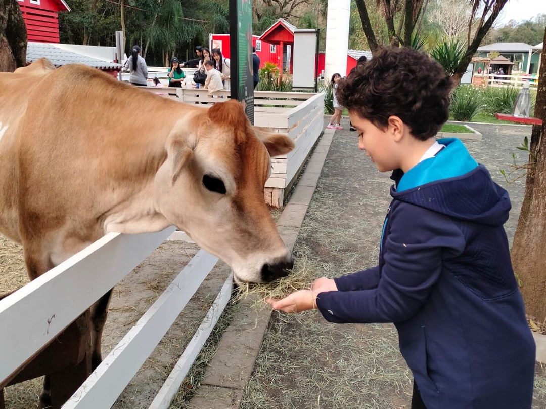 Foz Eco Park Zoo-伊瓜苏必去景点