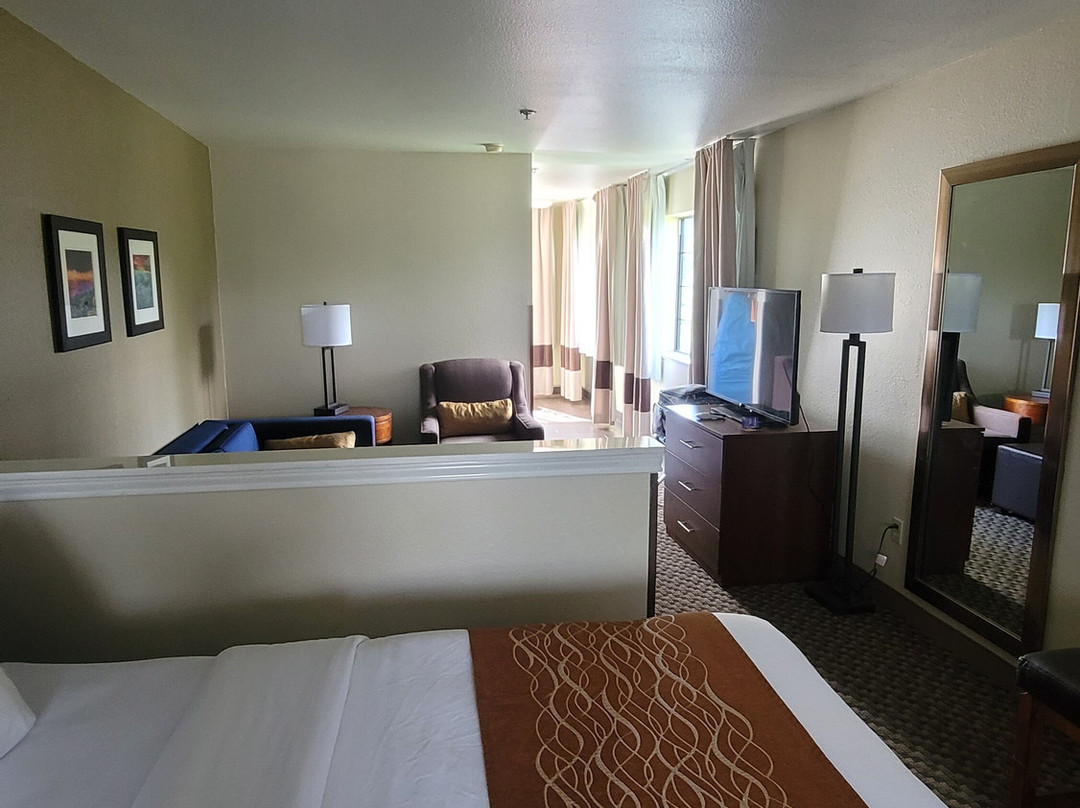 Comfort Inn & Suites - Midtown主图