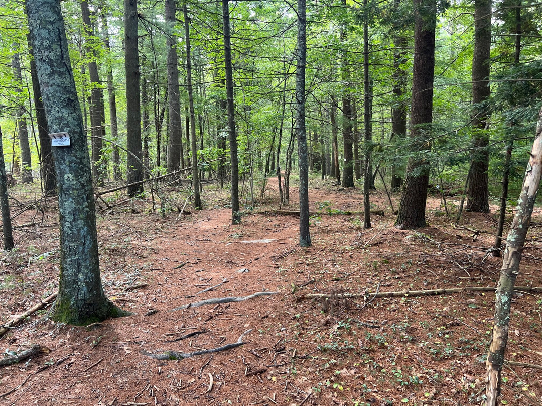 Jerimoth Hill-Foster必去景点