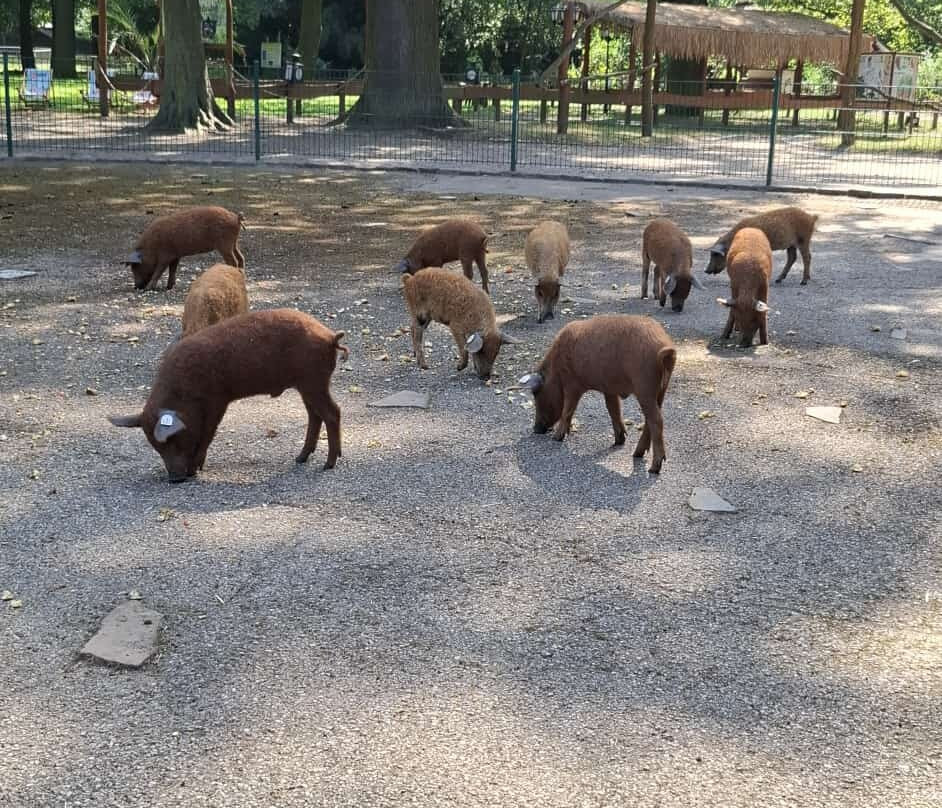 Tierpark Eilenburg-Eilenburg必去景点