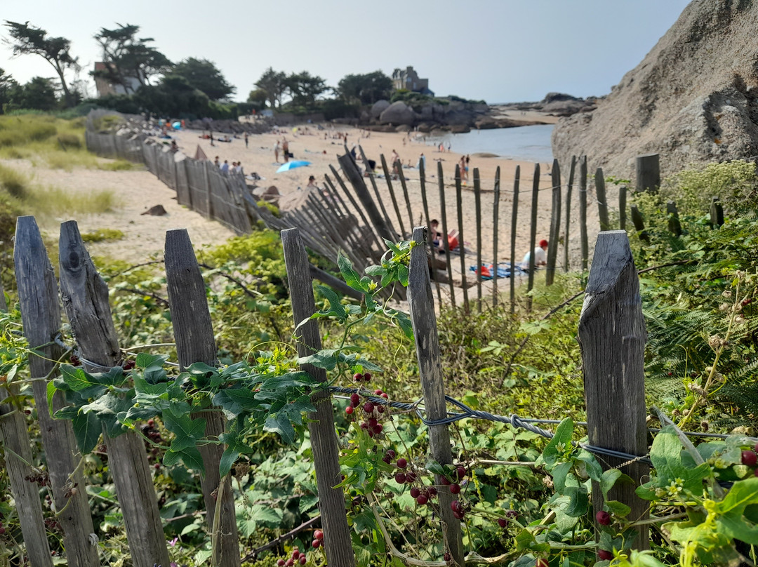 Plage de Trégastel-Tregastel必去景点