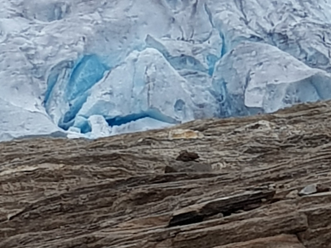 The Svartisen Glacier Austerdalsisen景点图片
