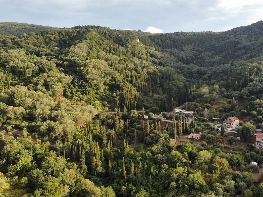 Maria's Tourist Services-Agios Georgios Pagon必去景点