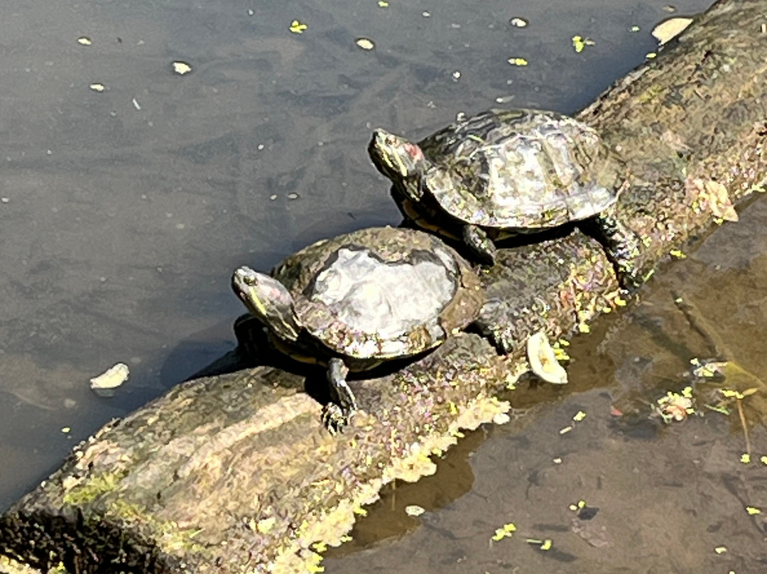 Clark Botanic Garden-Albertson必去景点