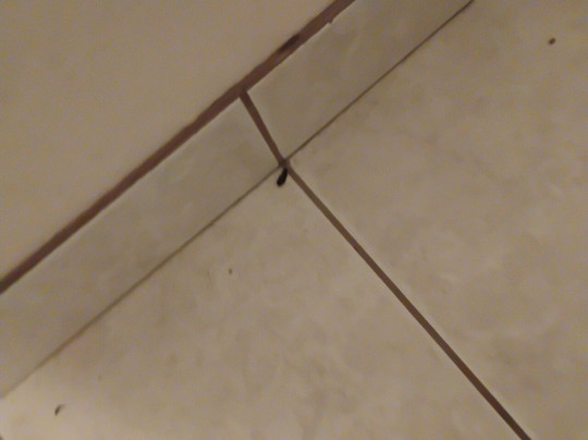 Days Inn by Wyndham San Angelo主图