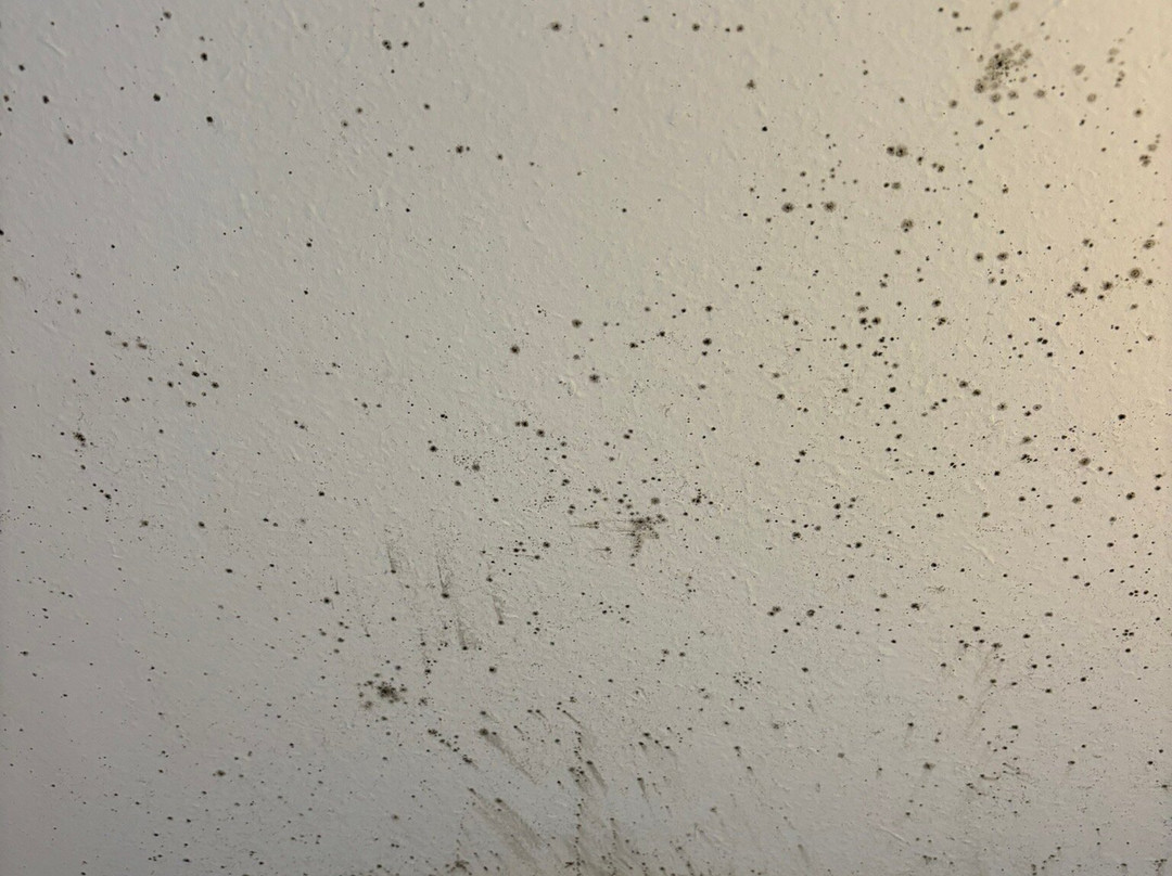 Hotel Jungfrau Lauterbrunnen主图