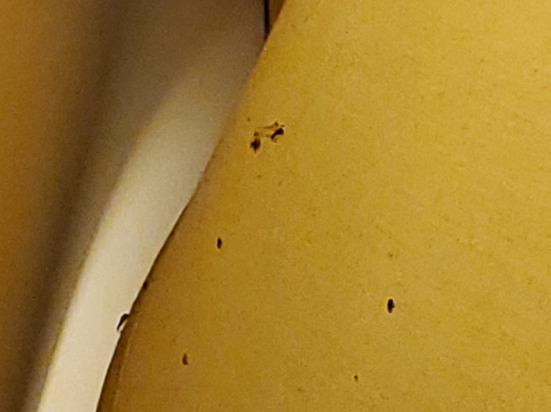 Bonnie Castle Resort & Marina主图